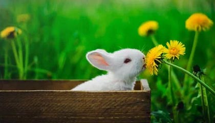 开云足球-青训投入与产出失衡矛盾突出，青训投入与产出失衡矛盾突出问题